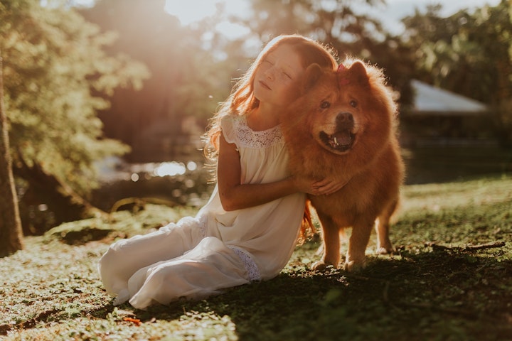 少女と犬