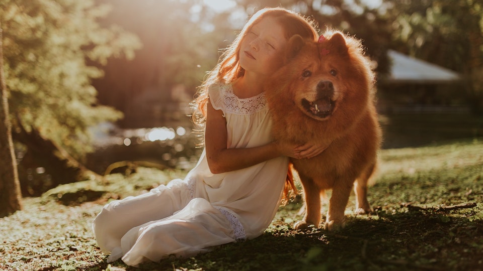 ペットホテルセレクトって何?その価値を一般社団法人全日本動物専門教育協会理事にインタビュー