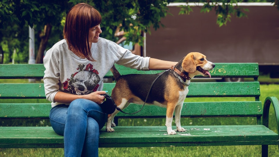 【2025年版】動物愛護週間って何をするの?関連するイベントもご紹介!