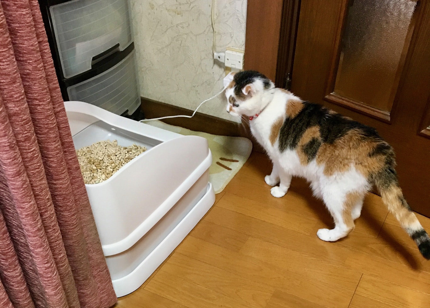 スマホで管理する最新猫トイレ「toletta（トレッタ）」を利用者目線で徹底レビュー、そこから見えてきたこととは