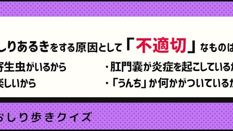 【犬クイズ】犬がおしり歩きする理由は?対処法は?のアイキャッチ画像