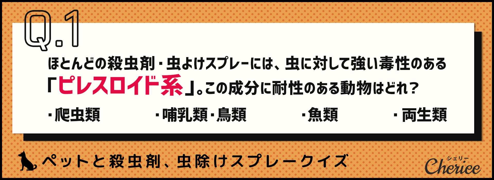 ペットがいるのにどう使う？殺虫剤、虫除けスプレークイズ！