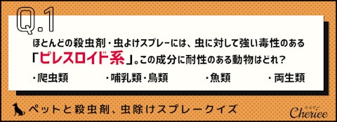 ペットがいるのにどう使う？殺虫剤、虫除けスプレークイズ！のアイキャッチ画像