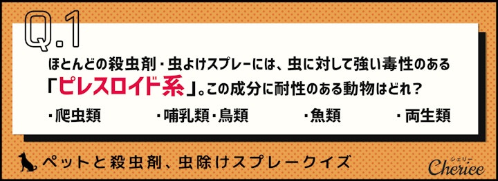 ペットがいるのにどう使う？殺虫剤、虫除けスプレークイズ！のアイキャッチ画像