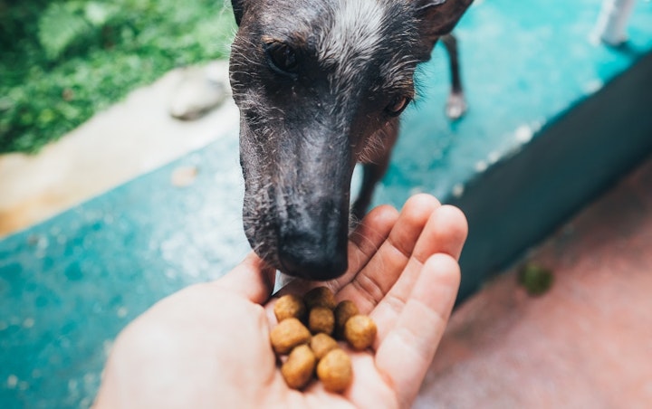 feeding