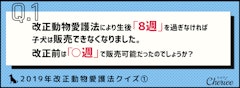 記事カテゴリ第1位