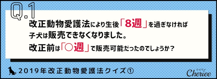 【2019年改正動物愛護法】どんな変化があったのかクイズで知ろう！のアイキャッチ画像