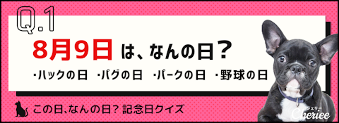 【記念日クイズ】語呂合わせで推理！この日、なんの日？のアイキャッチ画像