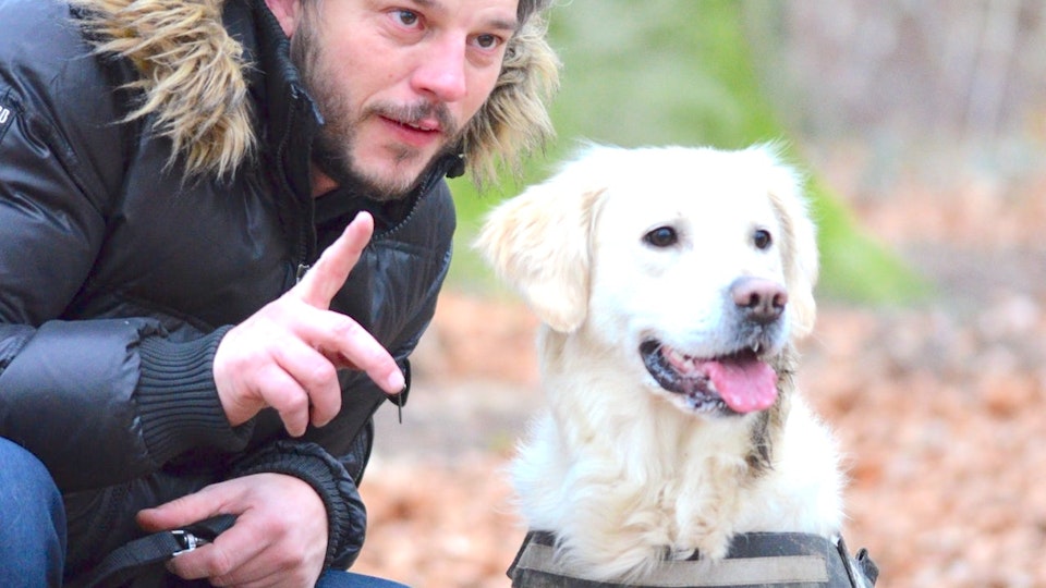 【ドッグトレーナー監修】ドッグトレーナーの種類と愛犬に合ったドッグトレーナーの選び方