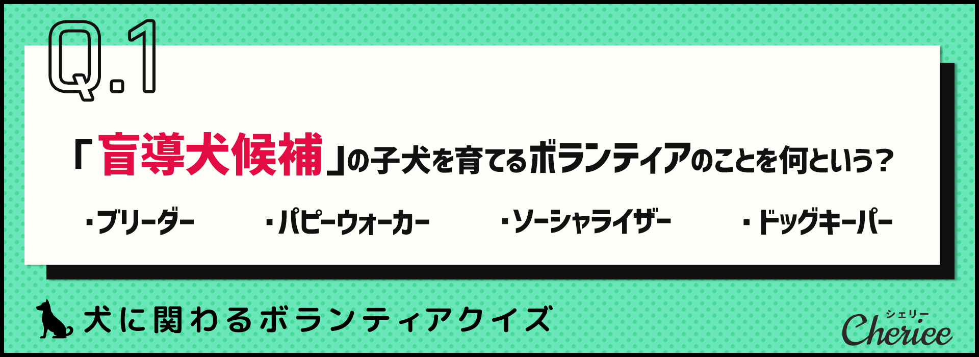 【クイズ】盲導犬候補の子犬を育てるボランティアとは？犬に関わるボランティアについて知ろう