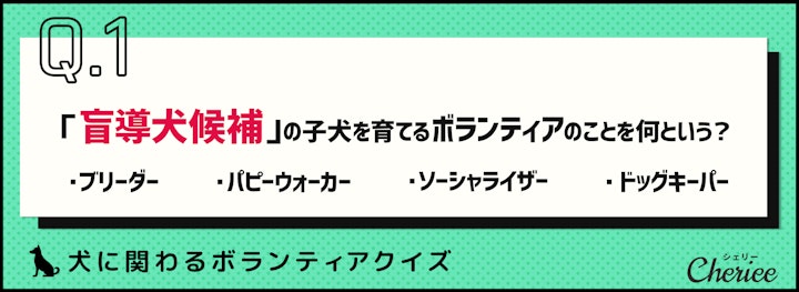 【クイズ】盲導犬候補の子犬を育てるボランティアとは？犬に関わるボランティアについて知ろうのアイキャッチ画像