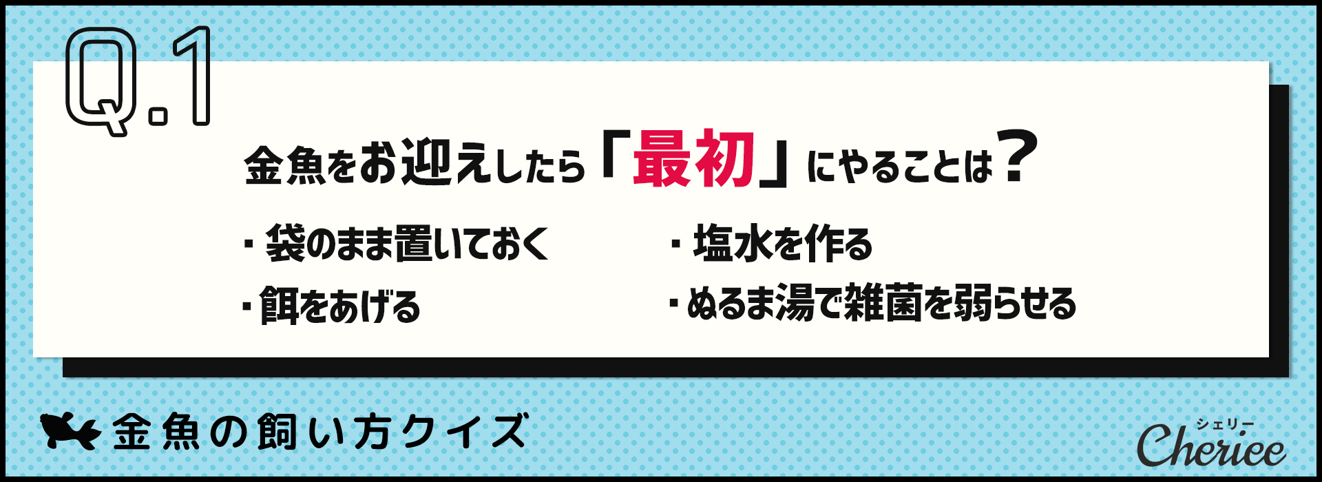 金魚の飼い方クイズ。正しい飼い方を知っていますか？