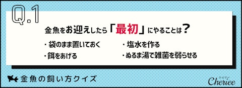 金魚の飼い方クイズ。正しい飼い方を知っていますか？のアイキャッチ画像