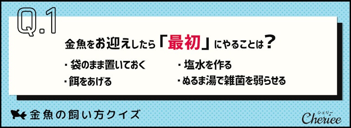 金魚の飼い方クイズ。正しい飼い方を知っていますか？のアイキャッチ画像