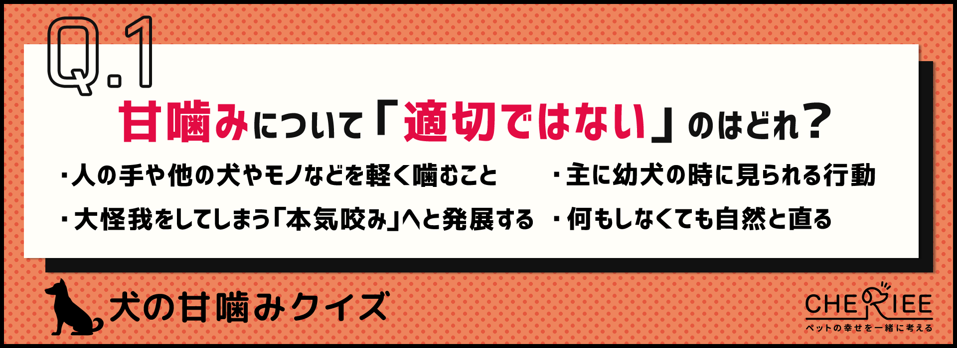 【犬の甘噛みクイズ】犬が甘噛みする理由は？対策法は？