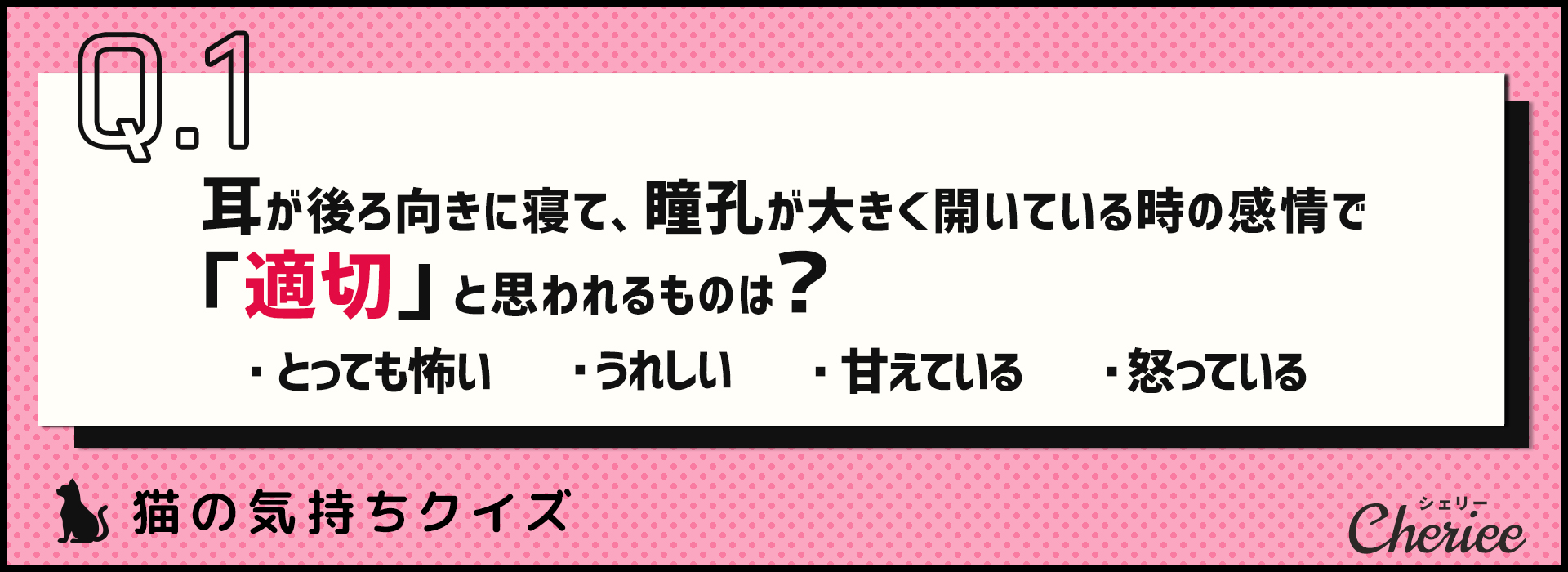 あなたはニャン問解けますか？猫の気持ちクイズ