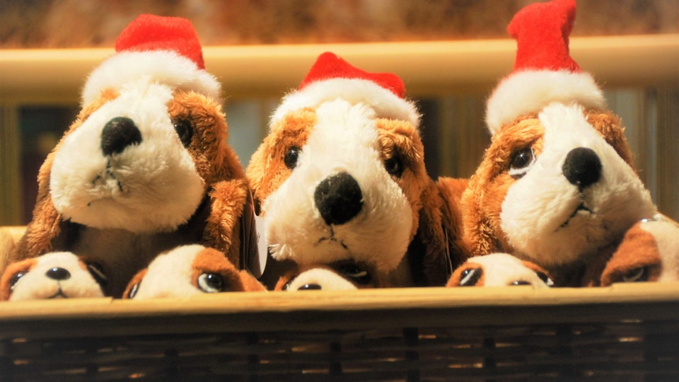 暮らしを便利に楽しく!愛⽝のためのスマートなクリスマスギフト5選