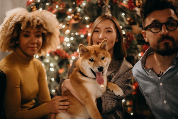 愛犬にも特別なクリスマスをプレゼント！愛犬と叶えたいこと5選のアイキャッチ画像