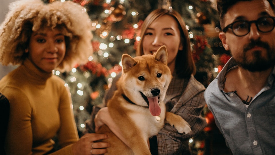 愛犬にも特別なクリスマスをプレゼント!愛犬と叶えたいこと5選