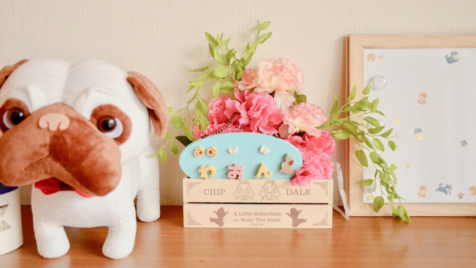 【保護犬と暮らす】入居者に聞いたグループホーム「わおん」での生活