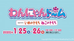 記事カテゴリ第3位