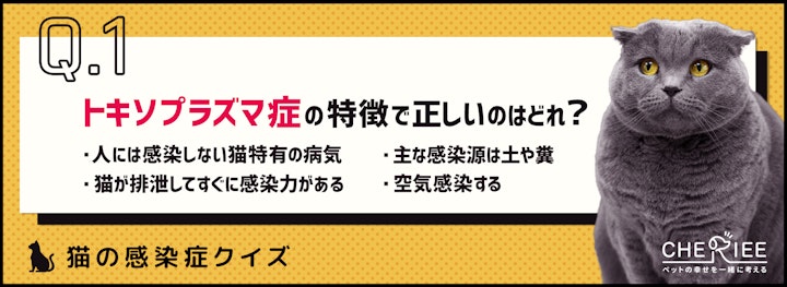 【猫クイズ】恐ろしい猫の感染症、トキソプラズマ症とは？のアイキャッチ画像