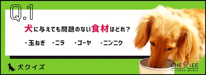 【犬クイズ】最低限知っておくべき、犬にとって危険な食べ物とは？のアイキャッチ画像