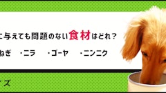 記事カテゴリ第5位