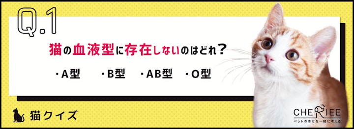 【猫クイズ】知ってますか？猫の血液型の雑学のアイキャッチ画像