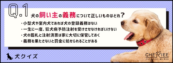 【犬クイズ】犬の飼い主さんの義務、ちゃんと知っていますか？のアイキャッチ画像