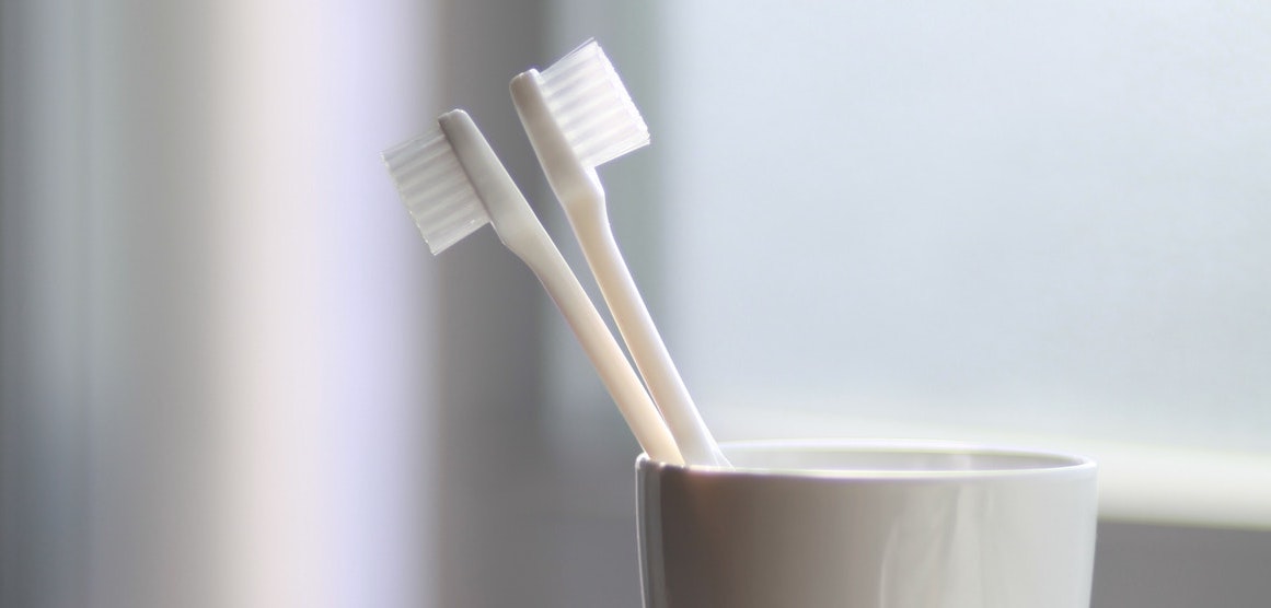 獣医師が教える子猫のしつけ②〜オーラルケア