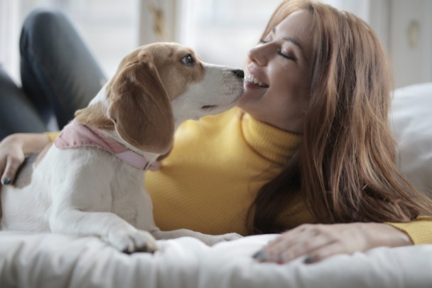 ちょっと待って！それ、虐待かも？正しい犬のしつけ方のポイントとはのアイキャッチ画像