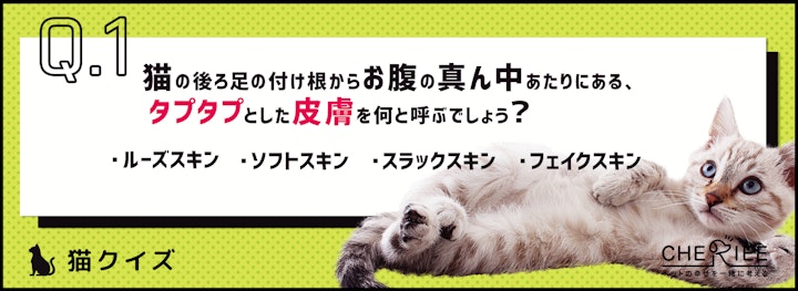 【猫クイズ】太ったと勘違いしてない？猫のタプタプお腹の秘密のアイキャッチ画像