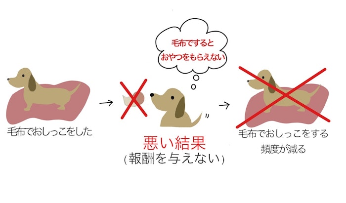 犬の学習理論を心理学で しつけに役立つ オペラント条件付け とは シェリー ペットの幸せを一緒に考える