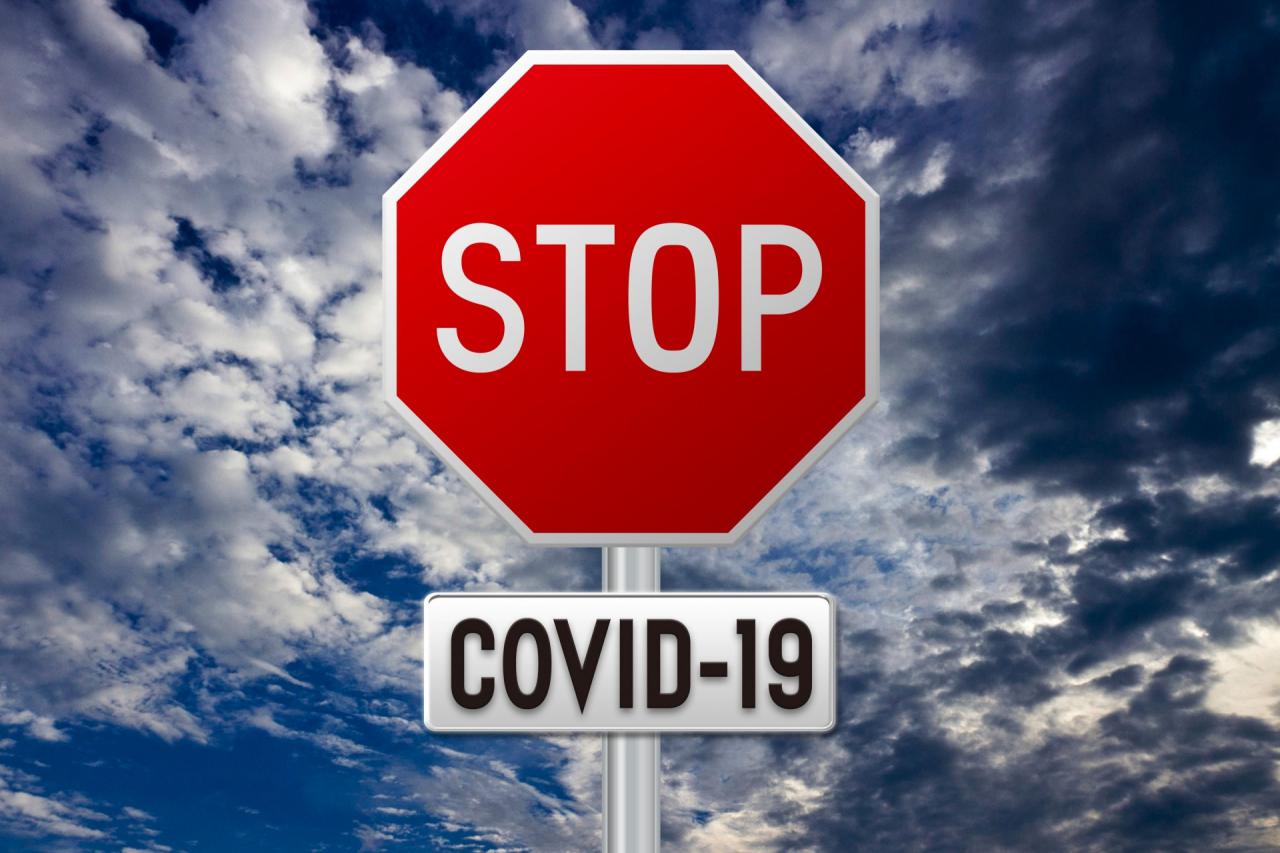 【新型コロナ】飼い主の不安を解消！アニコムのペット無料預かりサービス