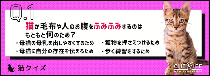 【猫クイズ】猫がふみふみするのはなぜ？気になる猫の習性の理由のアイキャッチ画像