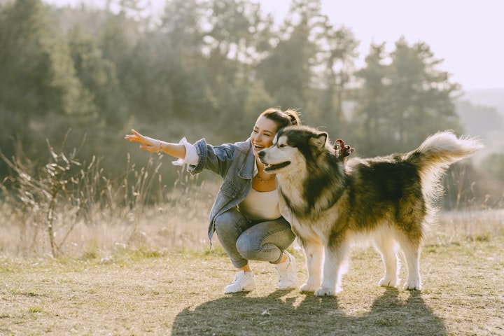 犬肉　文化　倫理　批判