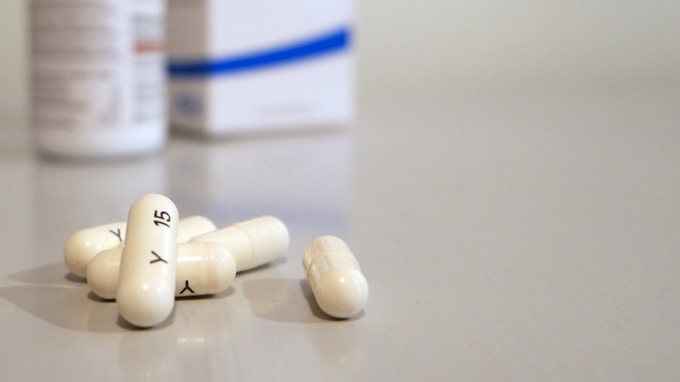 【獣医師監修】ヒトにも感染します!寄生虫から愛犬や家族を守ろう