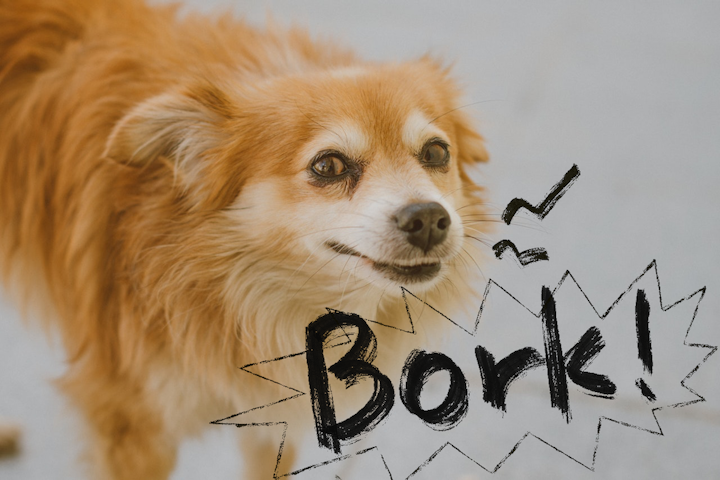 doggolingo bark bork