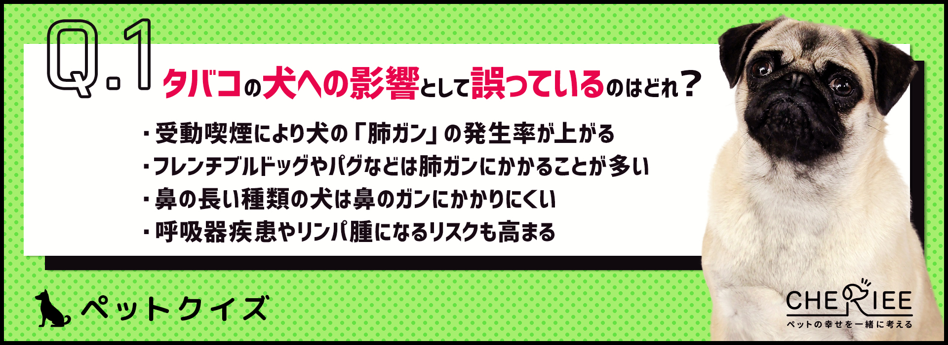 クイズ ペットへのタバコの影響を改めて見直してみよう シェリー ペットの幸せを一緒に考える