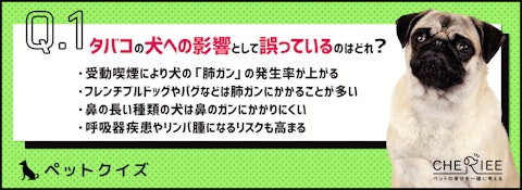 【クイズ】ペットへのタバコの影響を改めて見直してみようのアイキャッチ画像