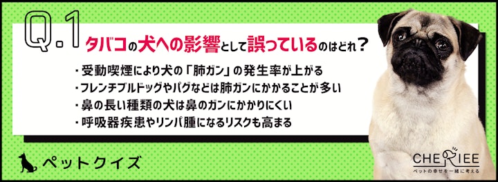 【クイズ】ペットへのタバコの影響を改めて見直してみようのアイキャッチ画像