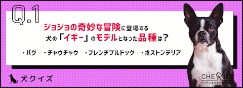 【犬種クイズ】有名な漫画のキャラのモデルになったこの犬の犬種は？のアイキャッチ画像