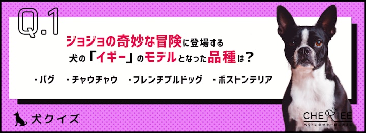 【犬種クイズ】有名な漫画のキャラのモデルになったこの犬の犬種は？のアイキャッチ画像