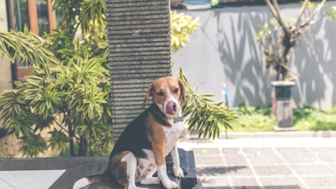 【事件】犬が飼い主を食べる!?他人事ではない、その驚きの理由とはのアイキャッチ画像