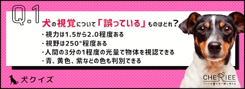 【クイズ】私たちとはこんなにも違う！人間と犬の五感の比較のアイキャッチ画像