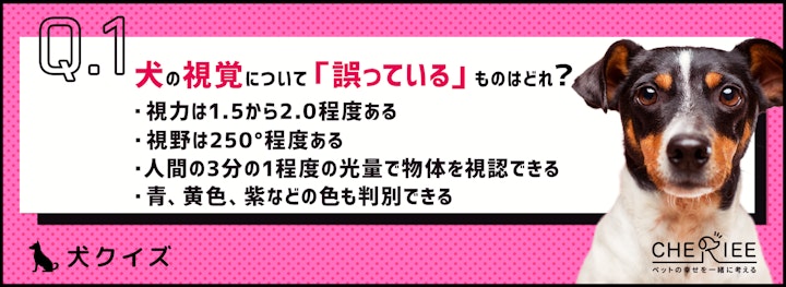 【クイズ】私たちとはこんなにも違う！人間と犬の五感の比較のアイキャッチ画像