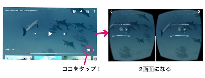 VYouTubeアプリで犬猫のVR動画を観るための手順