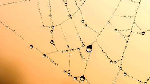 【獣医師監修】愛犬のマダニ対策がさまざまな病気の予防に!のアイキャッチ画像