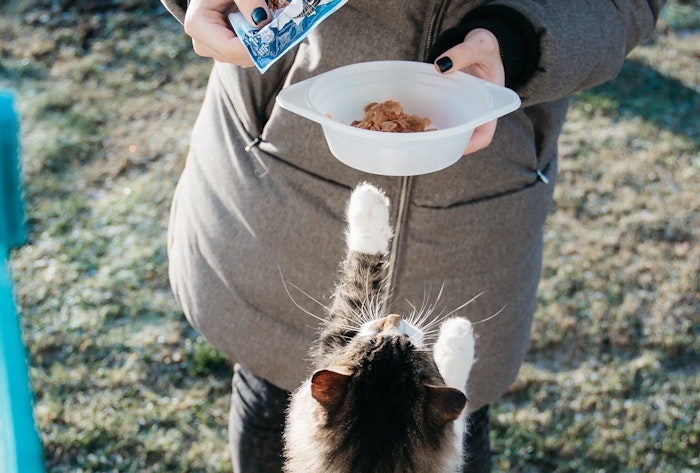 獣医師監修 獣医師指導の食事管理で猫のダイエットを成功させよう シェリー ペットの幸せを一緒に考える 獣医師監修 獣医師指導の食事管理で猫のダイエットを成功させよう シェリー ペットの幸せを一緒に考える